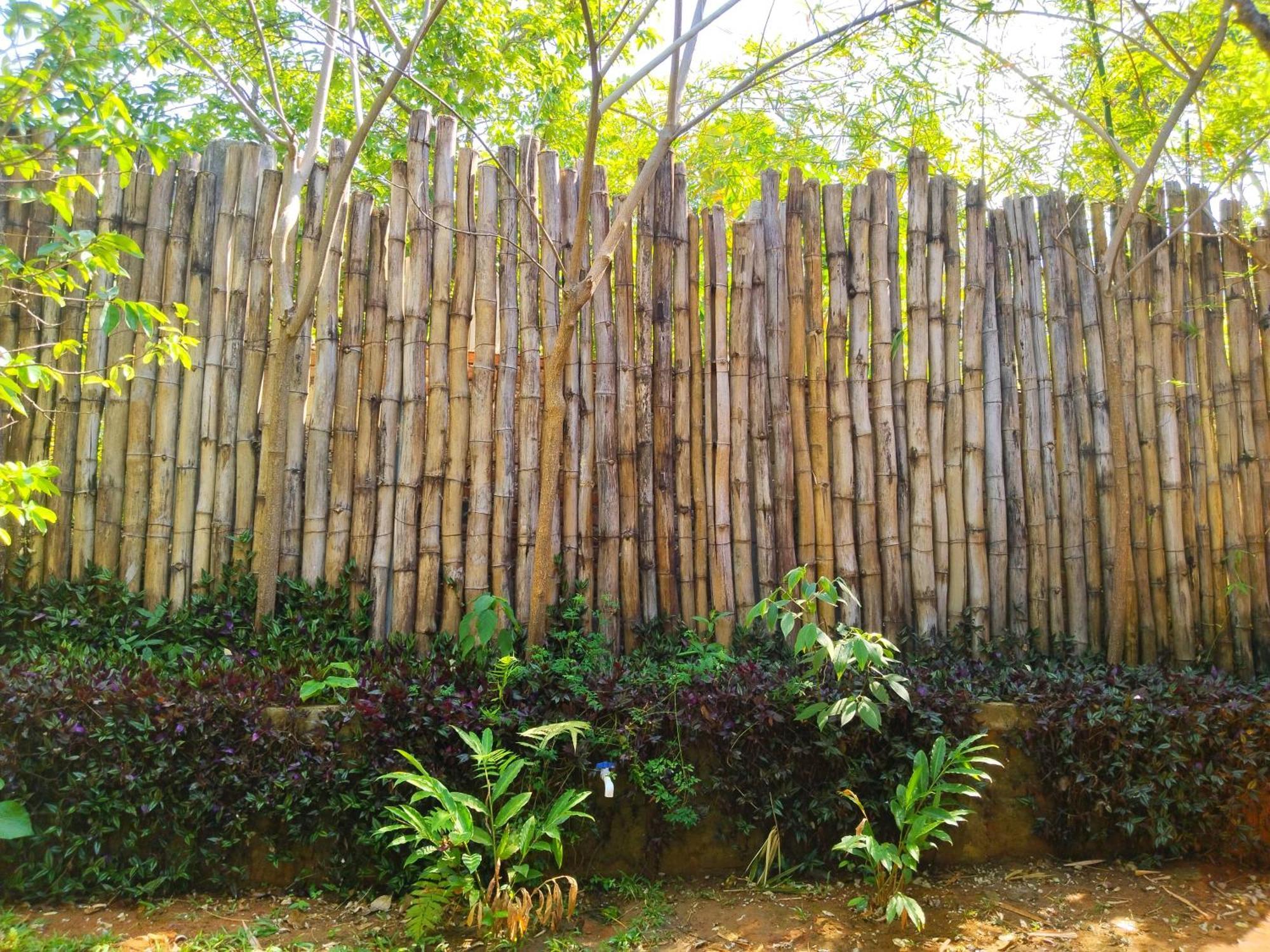Casa Magica Villa Minca Bagian luar foto