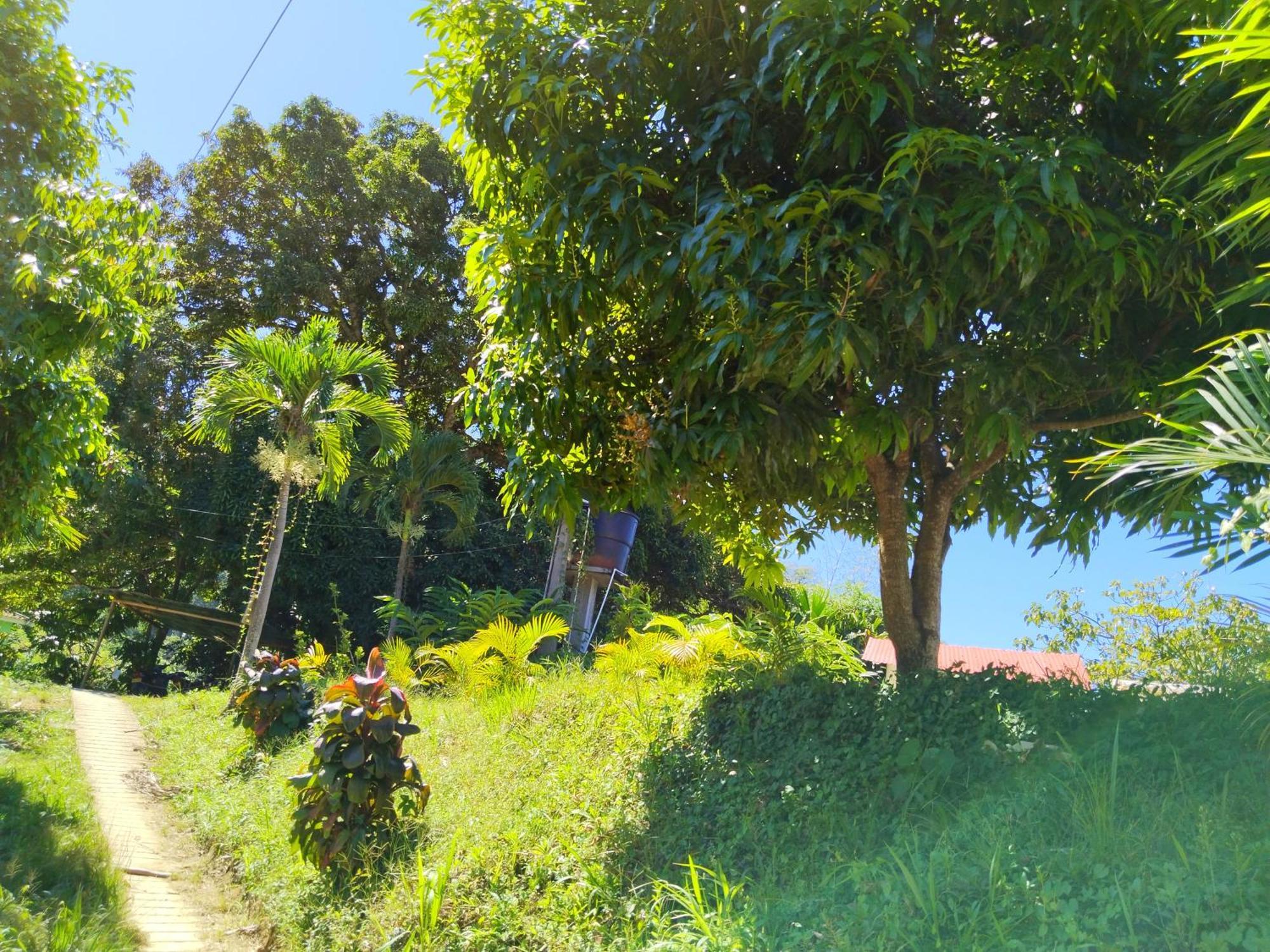 Casa Magica Villa Minca Bagian luar foto