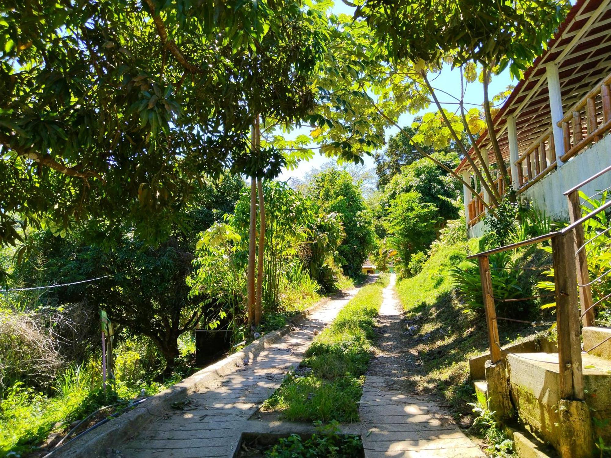Casa Magica Villa Minca Bagian luar foto